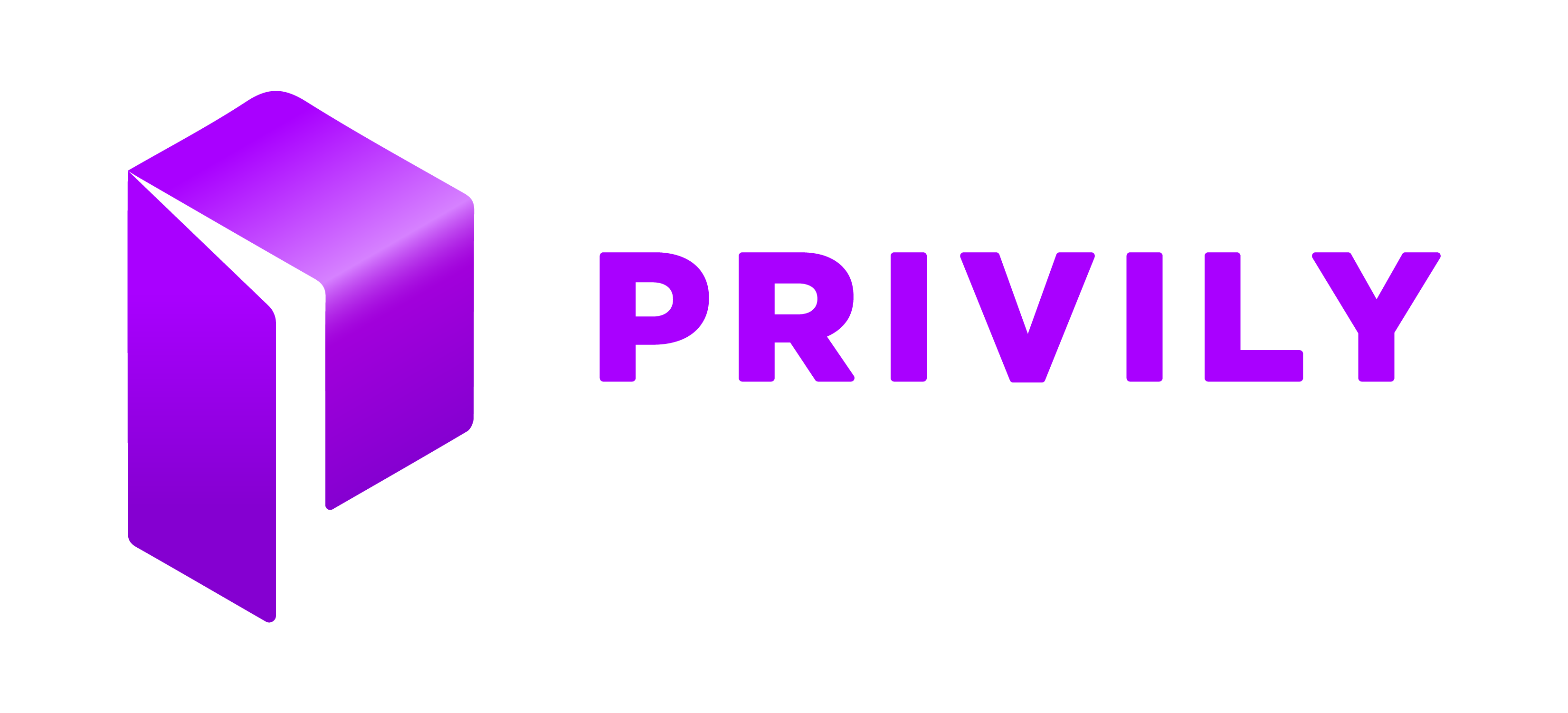 Privily Logo